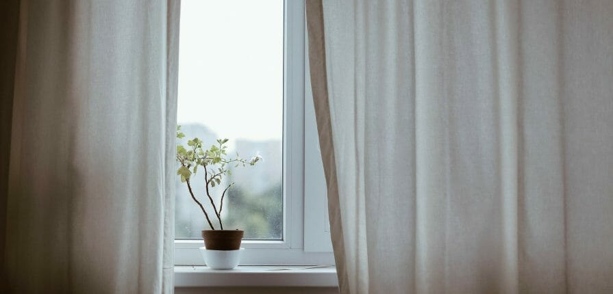 Climate seal window inserts protect house plants from drafty windows as pictured in this photo.